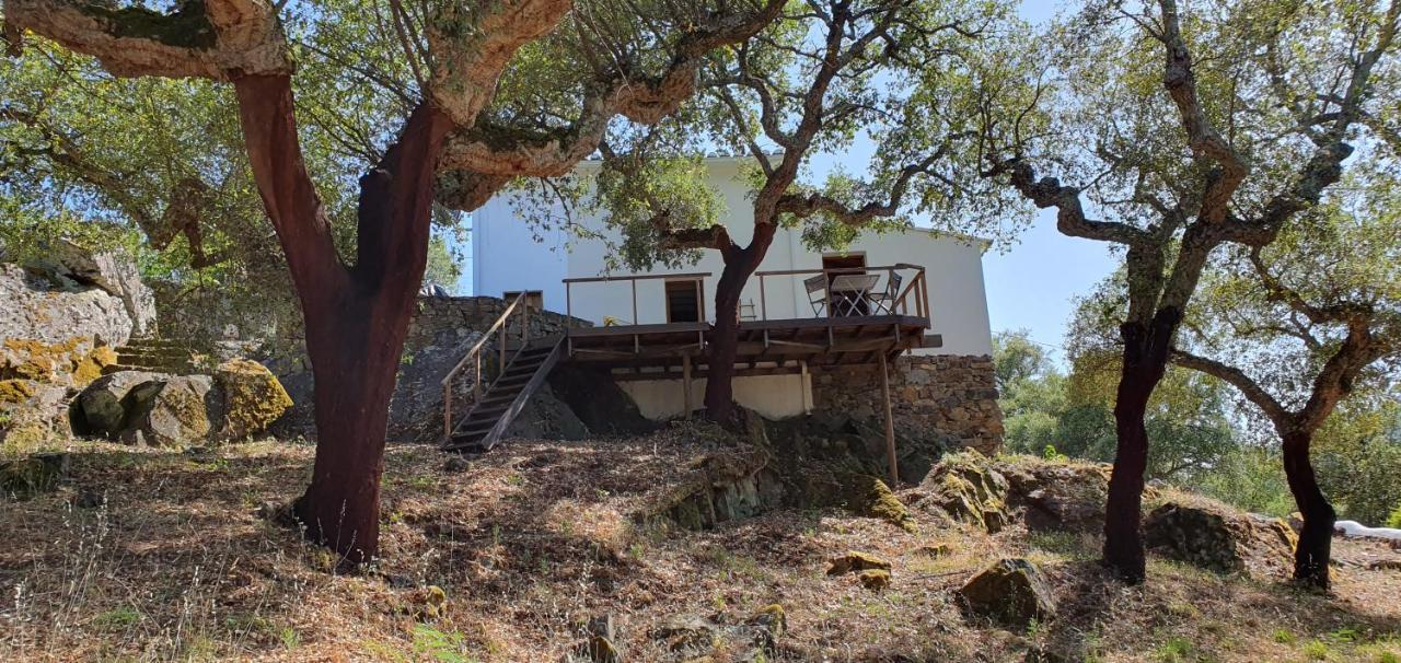 Galegos  Casa Do Passaroヴィラ エクステリア 写真