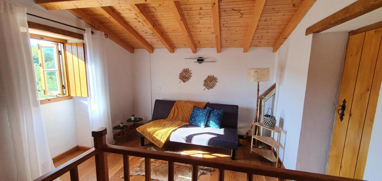 Galegos  Casa Do Passaroヴィラ エクステリア 写真