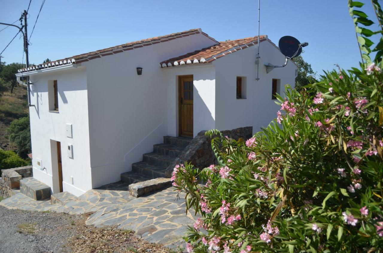 Galegos  Casa Do Passaroヴィラ エクステリア 写真