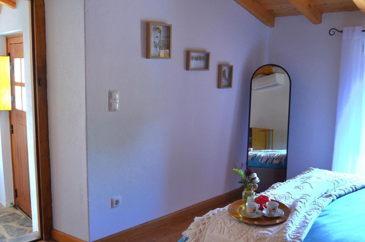 Galegos  Casa Do Passaroヴィラ エクステリア 写真