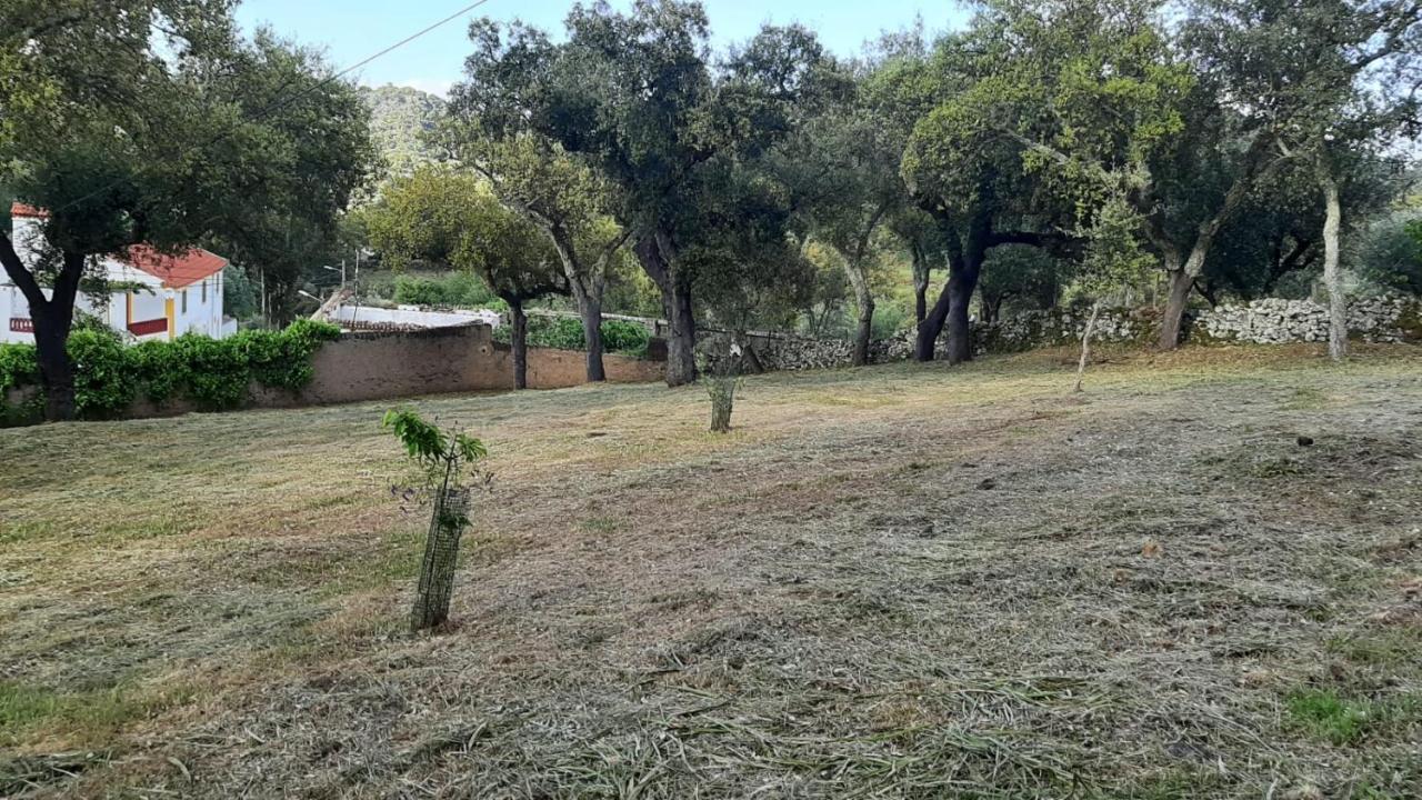 Galegos  Casa Do Passaroヴィラ エクステリア 写真