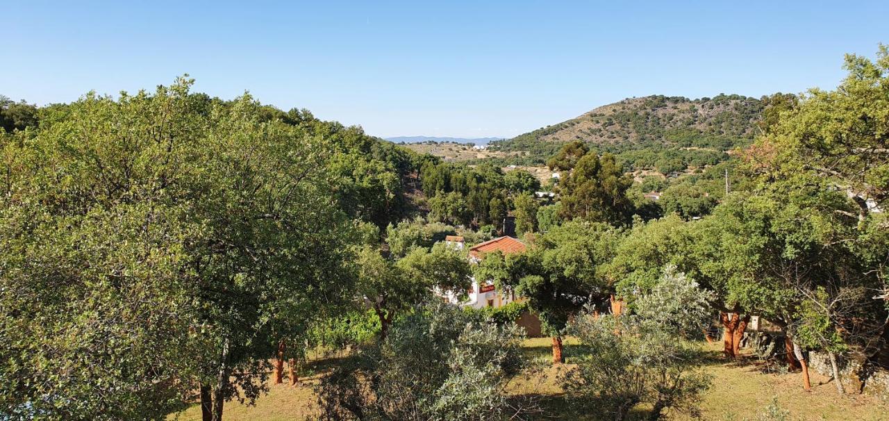 Galegos  Casa Do Passaroヴィラ エクステリア 写真