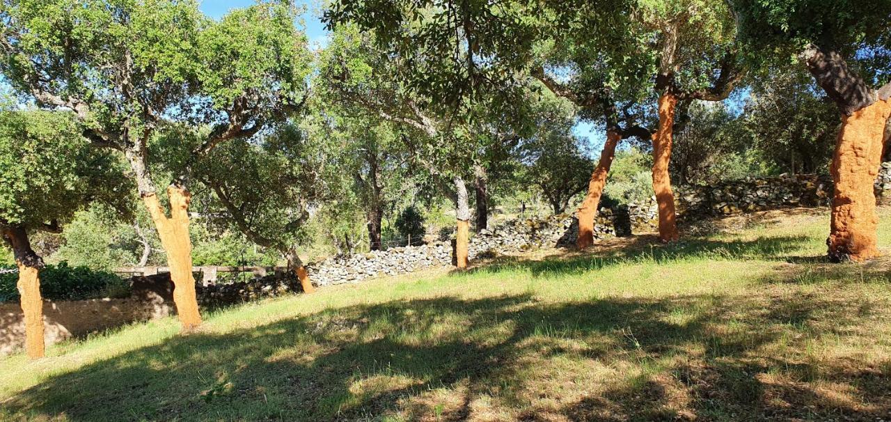 Galegos  Casa Do Passaroヴィラ エクステリア 写真