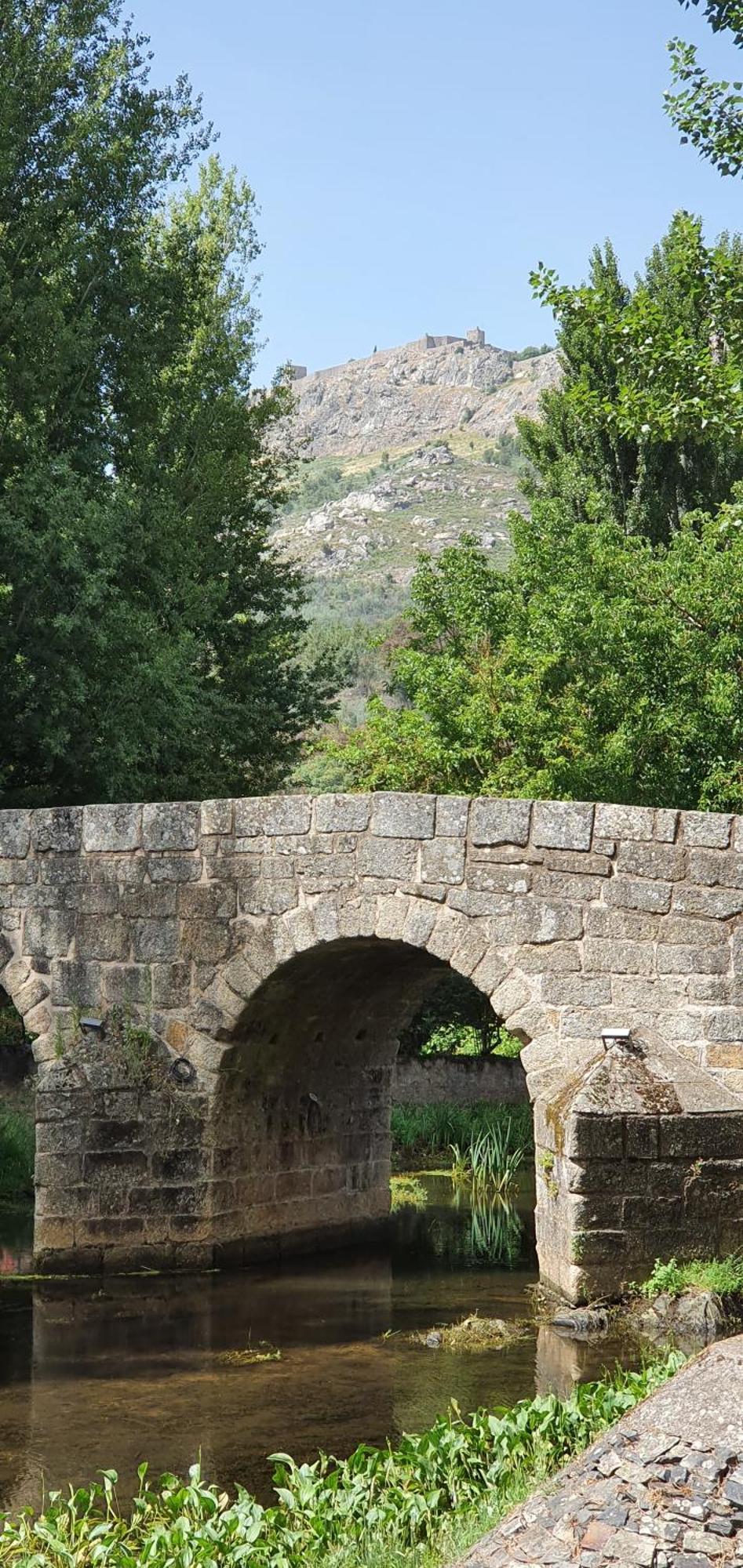 Galegos  Casa Do Passaroヴィラ エクステリア 写真