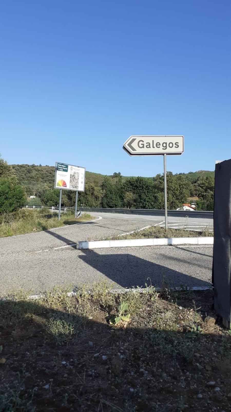 Galegos  Casa Do Passaroヴィラ エクステリア 写真