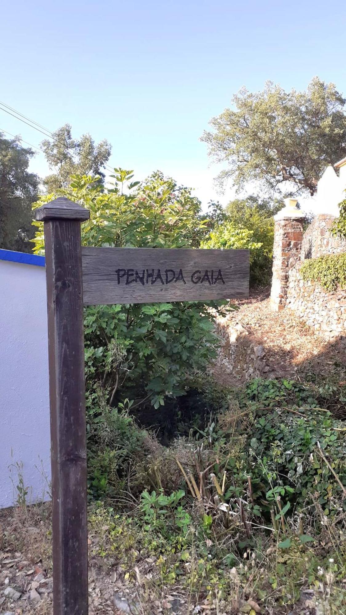 Galegos  Casa Do Passaroヴィラ エクステリア 写真